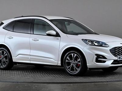 Used Ford Kuga ST-Line 150 HP (110 kW) 2023 White SUV