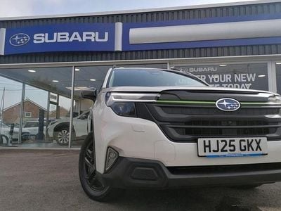 Used Subaru Forester 2025 SUV