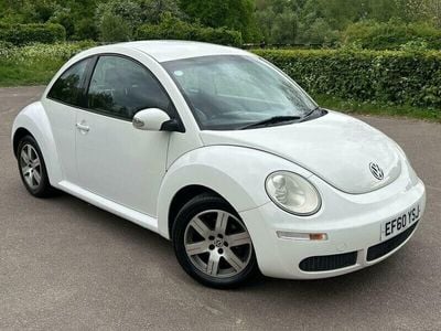 VW Beetle