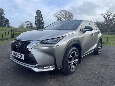 Used Lexus NX300h Sport Line 2016 Silver SUV