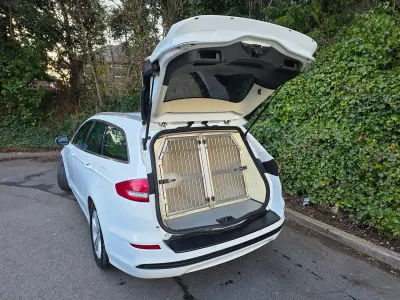 Used Ford Mondeo Zetec 150 HP (110 kW) 2019 White Estate