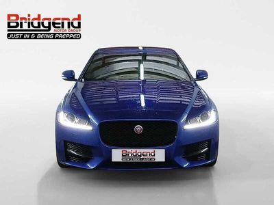 Used Jaguar XF R-Sport 2019 Blue Sedan