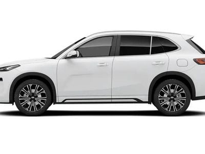 New Geely Starray 262 HP (192 kW) 2026 SUV
