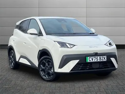 Gebraucht BYD Dolphin Surf