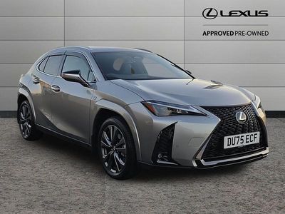 Silver Used 2025 Lexus UX Sport Line SUV | £35,995