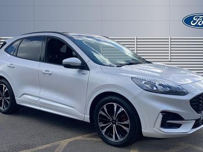 Used Ford Kuga ST-Line X 190 HP (139 kW) 2023 White SUV