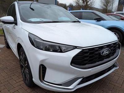 New Renault Modus Privilege 2025 MPV