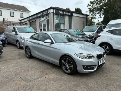 Used BMW 220 Sport Line 184 HP (135 kW) 2015 Silver Coupe