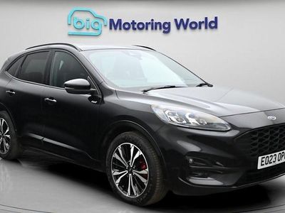Used Ford Kuga ST-Line X 190 HP (139 kW) 2023 SUV