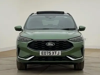 Used Ford Kuga ST-Line X 243 HP (178 kW) 2025 Bursting green (metallic) SUV