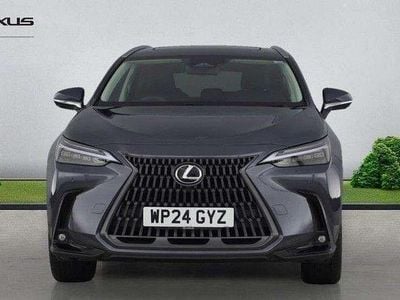 Used Lexus NX450h+ 301 HP (221 kW) 2024 Grey SUV