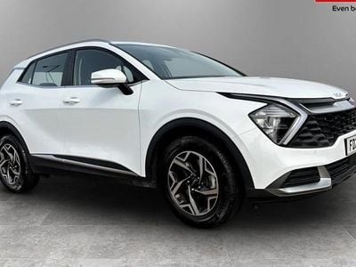 Used Kia Sportage 159 HP (116 kW) 2024 SUV