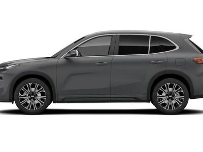 Używany Geely Starray