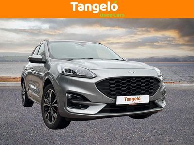 Used Ford Kuga ST-Line X 225 HP (165 kW) 2023 Silver SUV