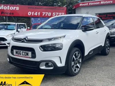 Used Citroën C4 Cactus Flair 110 HP (80 kW) 2019 White Hatchback