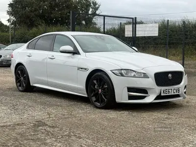 Used Jaguar XF R-Sport 250 HP (183 kW) 2017 White Sedan