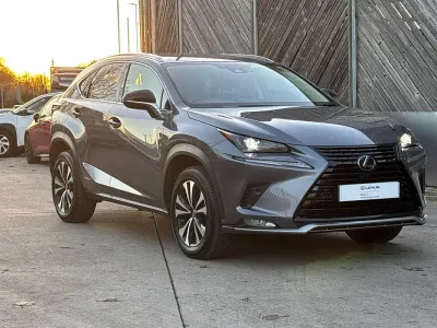 Used Lexus NX300h 2021 Grey SUV