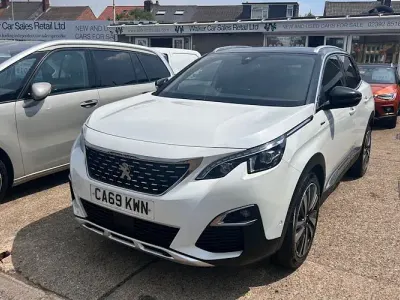 Used Peugeot 3008 Premium 131 HP (96 kW) 2019 White SUV