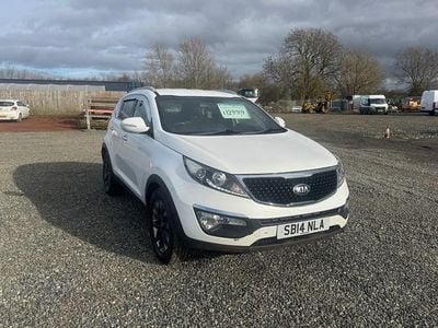 Used Kia Sportage 2014 White SUV