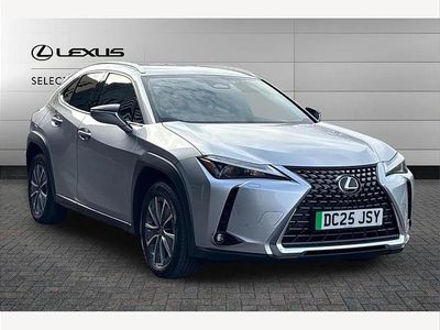 Used Lexus UX 300e 150 kW (204 HP) 2025 Silver SUV