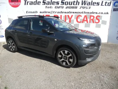 Used Citroën C4 Cactus Flair 82 HP (60 kW) 2016 Grey Hatchback