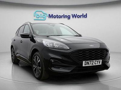 Used Ford Kuga ST-Line X 225 HP (165 kW) 2022 Black SUV