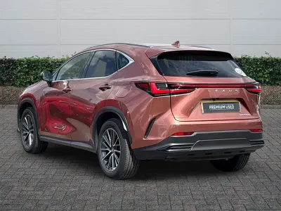 Used Lexus NX450h+ 2024 Bronze SUV