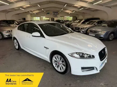 Used Jaguar XF R-Sport 200 HP (147 kW) 2014 White Sedan
