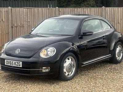 VW Beetle