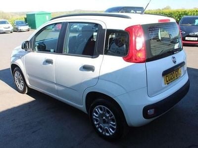 Used Fiat Panda Easy 69 HP (50 kW) 2020 Hatchback