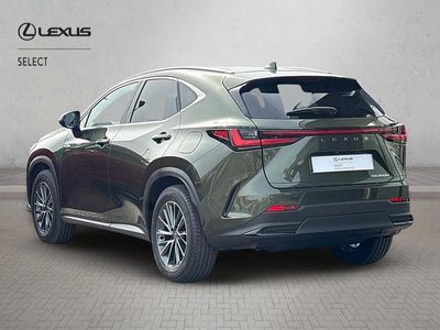 New Lexus NX450h+ 2026 Terrane khaki SUV