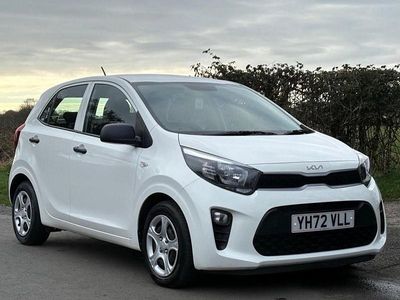 Used Kia Picanto 66 HP (48 kW) 2023 White Hatchback