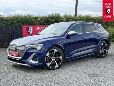 Usado Audi e-tron