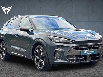 Used Cupra Terramar 2025 Blue SUV