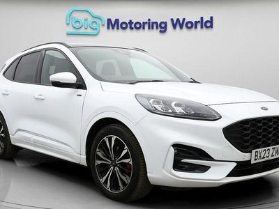 Used Ford Kuga ST-Line X 190 HP (139 kW) 2023 SUV