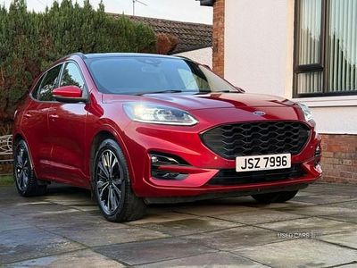 Red Used 2022 Ford Kuga ST-Line X SUV | £17,995 (Good price)