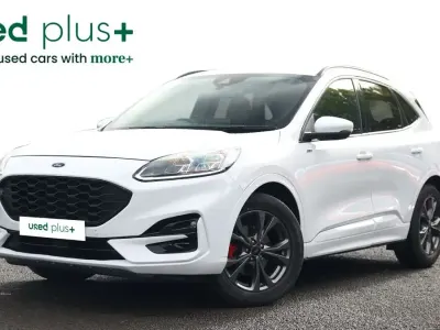 Used Ford Kuga ST-Line 190 HP (139 kW) 2023 White SUV