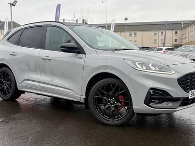 Used Ford Kuga 2023 Grey SUV