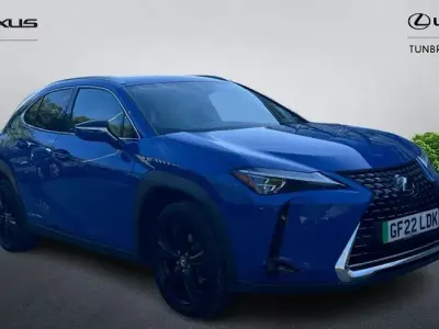 Used Lexus UX 300e