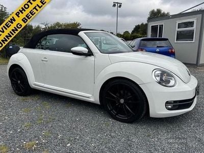 VW Beetle