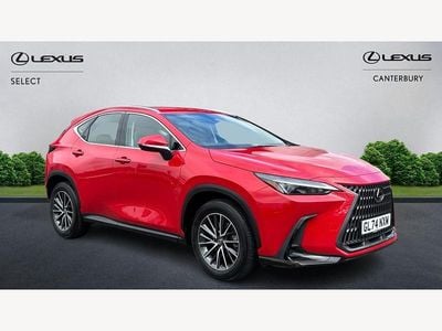 Used Lexus NX350h 2024 Red Estate