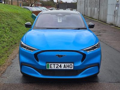 Used Ford Mustang Premium 351 HP (258 kW) 2024 Hatchback