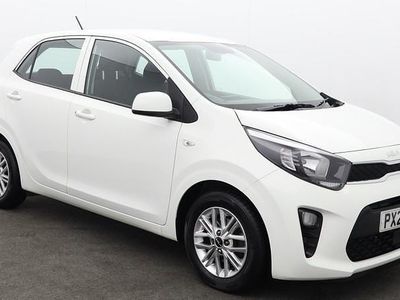Used Kia Picanto 66 HP (48 kW) 2023 Clear white Hatchback