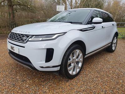 Used Land Rover Range Rover evoque SE 2019 White SUV
