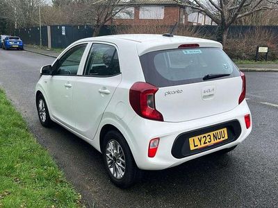 Used Kia Picanto 66 HP (48 kW) 2023 White Hatchback