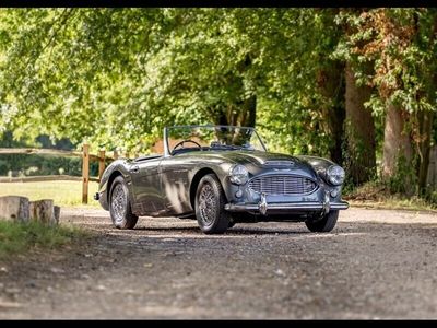 Austin Healey 100/6