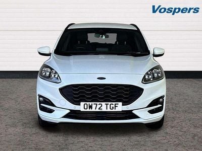 Used Ford Kuga ST-Line 150 HP (110 kW) 2023 White SUV