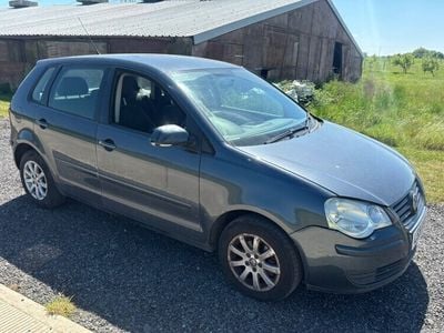 VW Polo