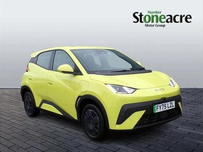 Green New 2025 BYD Dolphin Surf Active Hatchback | £15,990 (Super price)