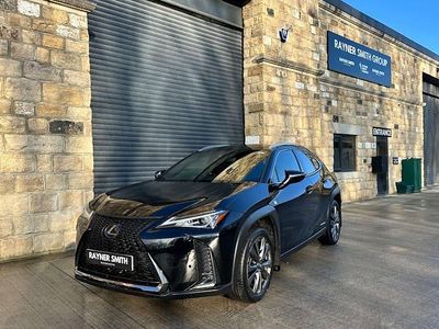 Used Lexus UX 250h Sport Line 184 HP (135 kW) 2022 SUV